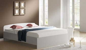 Терра СБ-2301 Двуспальная кровать универсальная 1600
