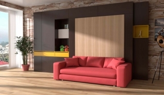 Шкаф-кровать с диваном Флора 2 BMS - новинка