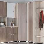 Прихожая Визит 9 вариант 3 BMS - Фото 2