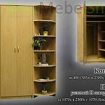Шкаф угловой двустворчатый  BMS - Фото 5