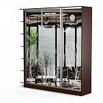 Шкаф-купе Лагуна-42 BMS - Фото 1