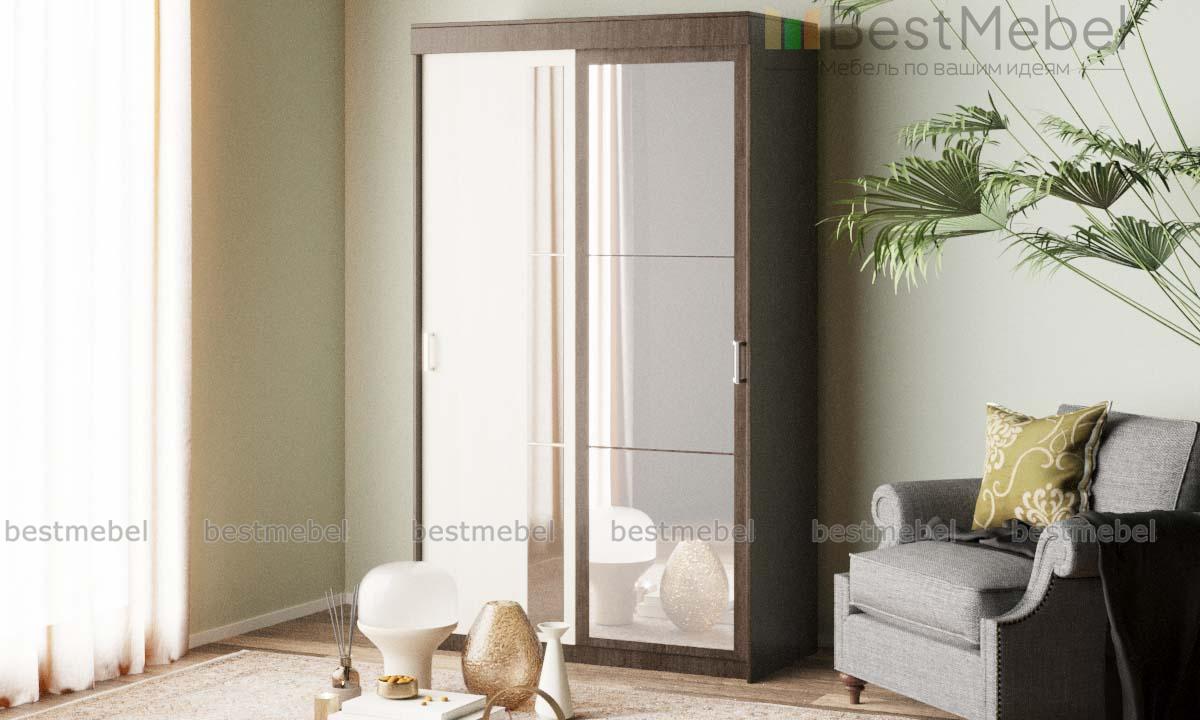 Шкаф-купе Европа - 13 BMS - Фото