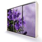 Шкаф-купе EL-05 BMS - Фото 11