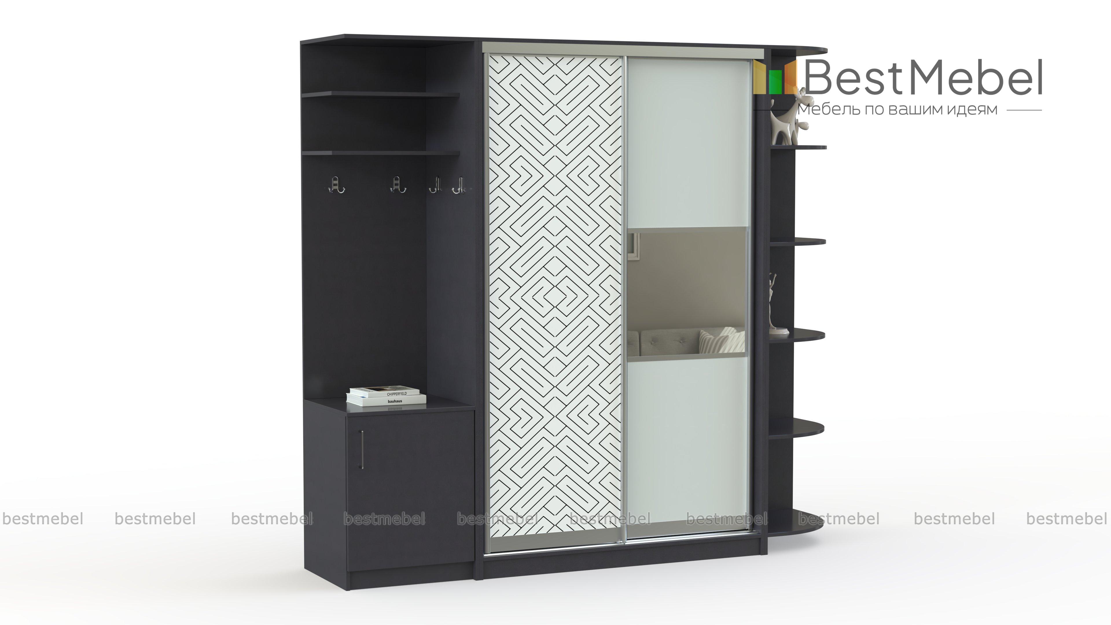 Шкаф-купе Франс 10 BMS - Фото