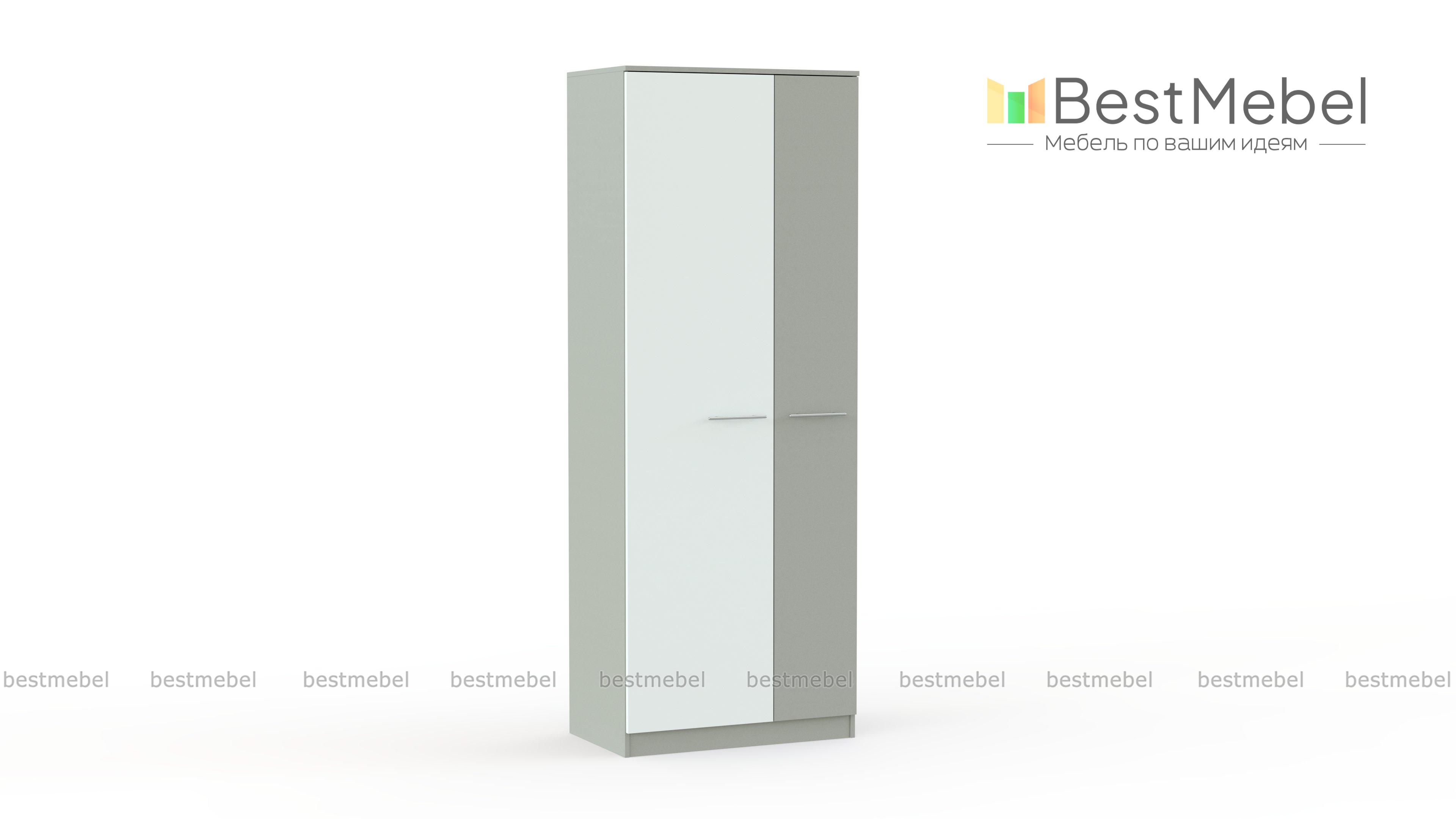 Распашной шкаф ВТ3 BMS - Фото