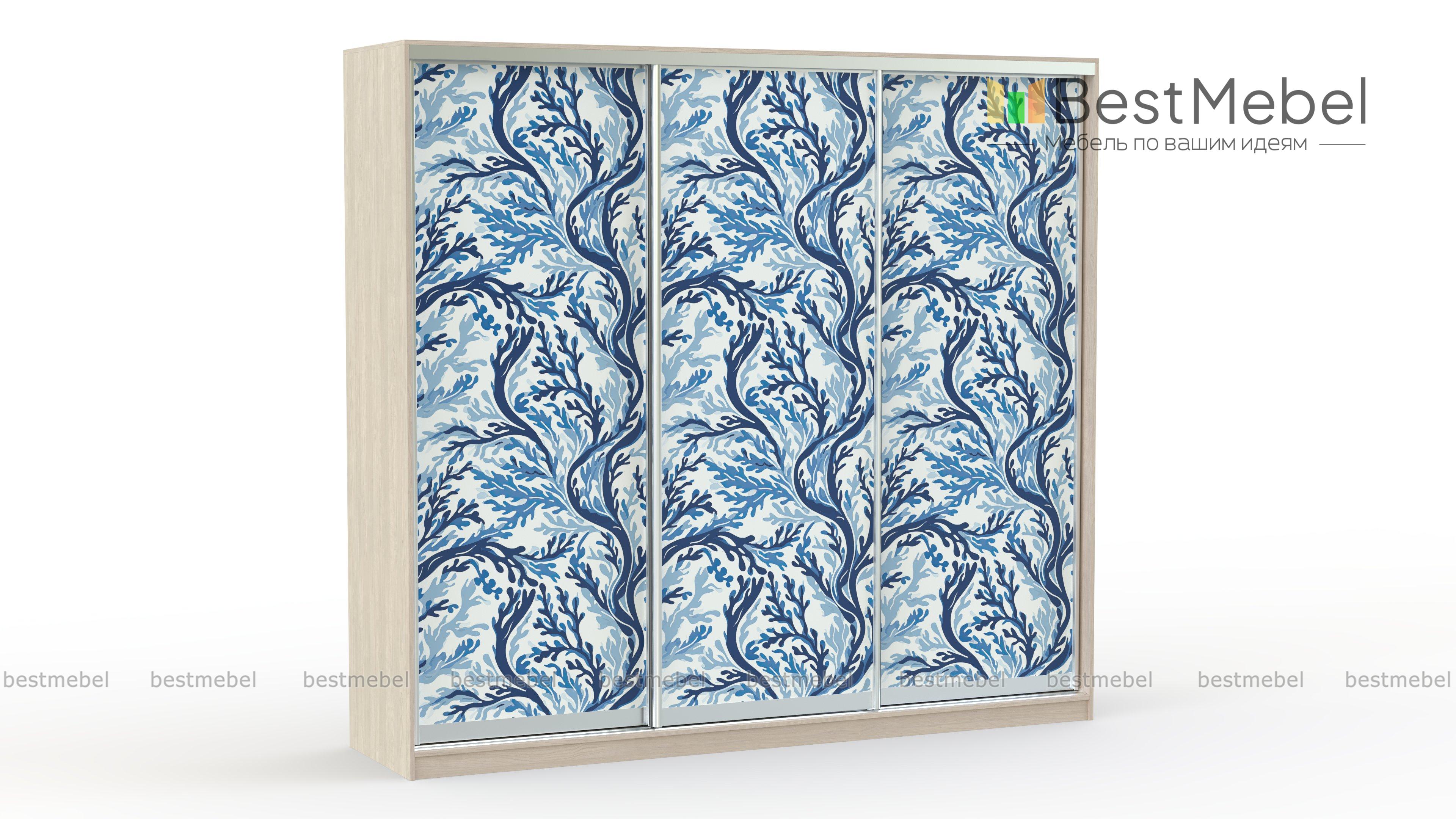 Шкаф-купе EL-05 BMS - Фото