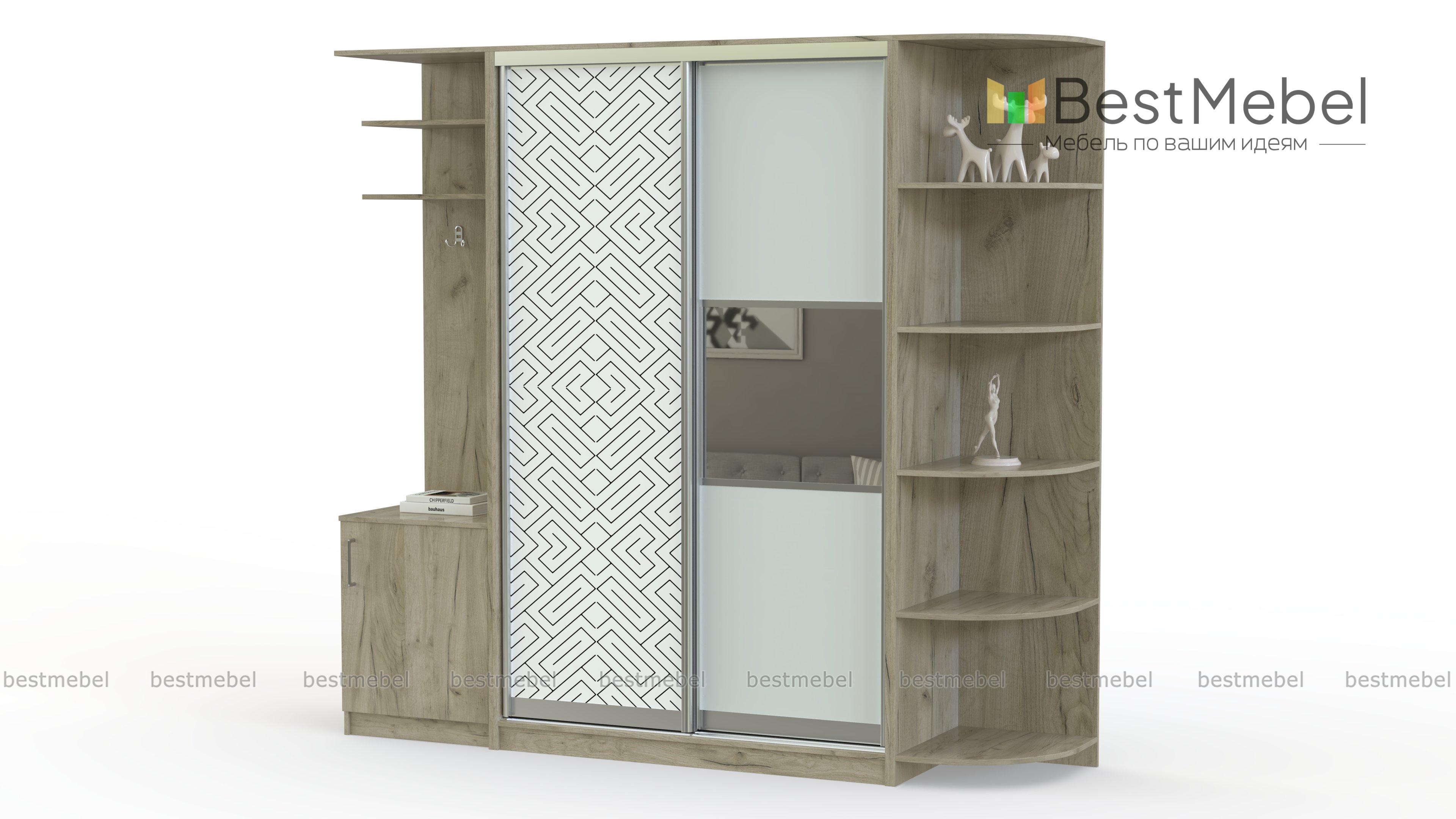 Шкаф-купе Франс 10 BMS - Фото