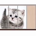 Шкаф-купе Лайн 40 BMS - Фото 9