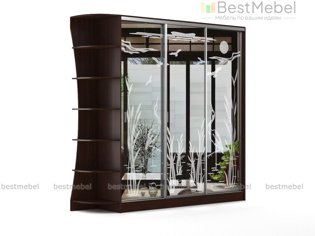 Шкаф-купе Лагуна-42 BMS - Фото