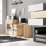 Кабинет руководителя Прюнс BMS - Фото 3