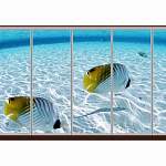 Шкаф-купе Море 251 BMS - Фото 9