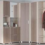 Прихожая Визит 9 вариант 3 BMS - Фото 1