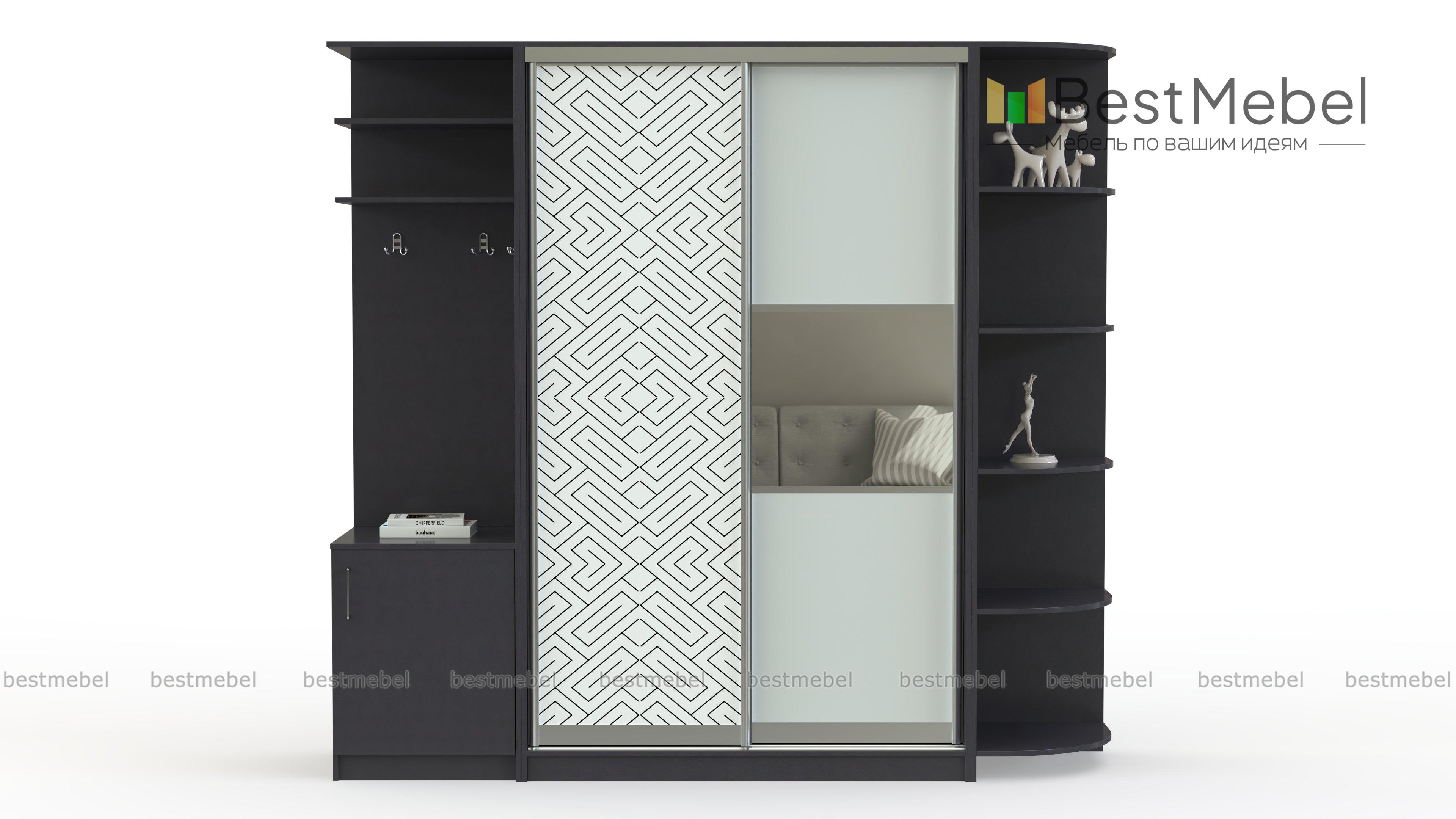 Шкаф-купе Франс 10 BMS - Фото