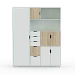 Шкаф комбинированный Авгий BMS - Фото 2